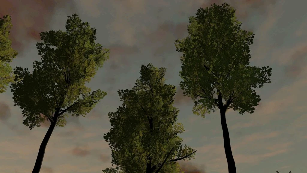 一些树和草-Hellovam资源网