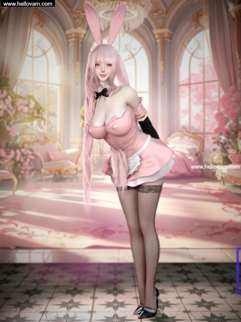 图片[2]-Dnaddr.PinkMaid_P_v1_5_25_10_24.1-Hellovam资源网