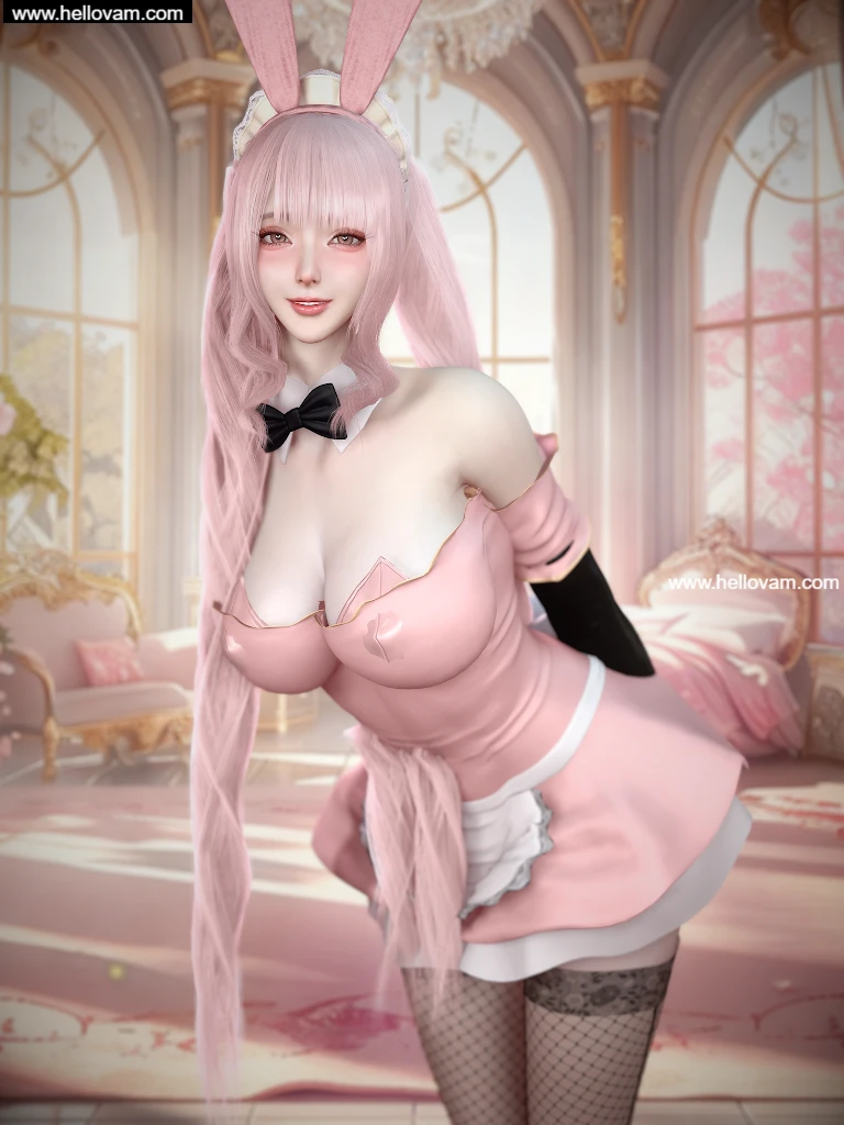 Dnaddr.PinkMaid_P_v1_5_25_10_24.1-Hellovam资源网