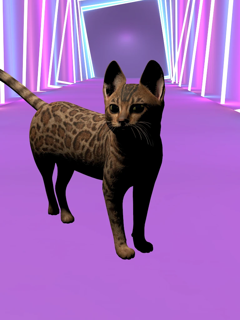 动态猫supersamoth_bengalcat-Hellovam资源网