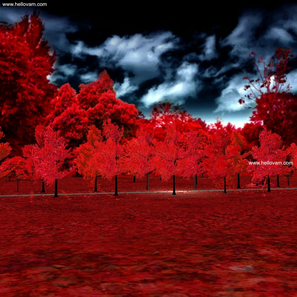 ！赤い森-Hellovam资源网