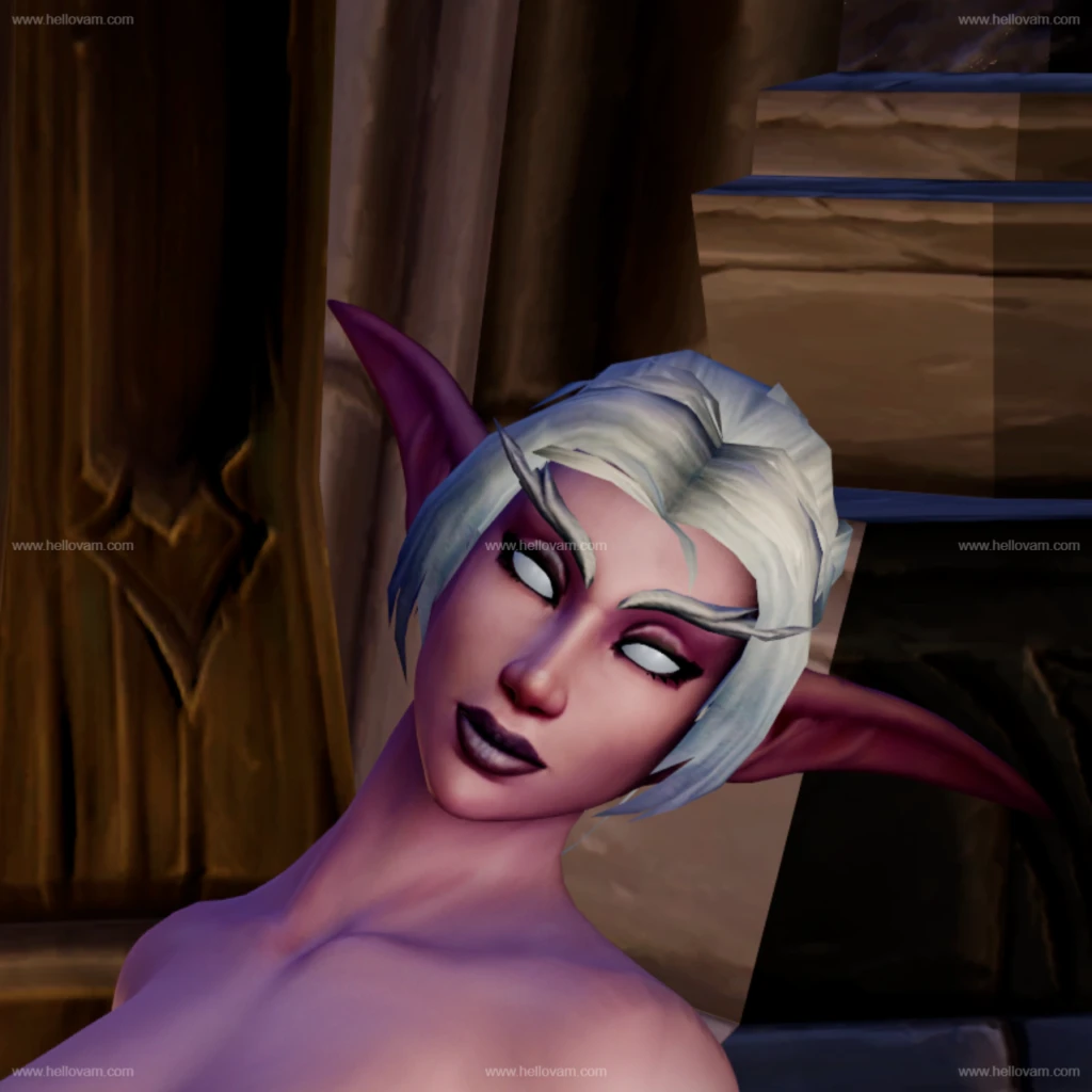 图片[2]-魔兽世界_夜精灵-Hellovam资源网