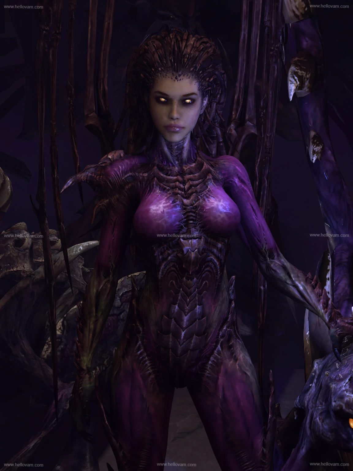 mopedlampe.Kerrigan.1-Hellovam资源网