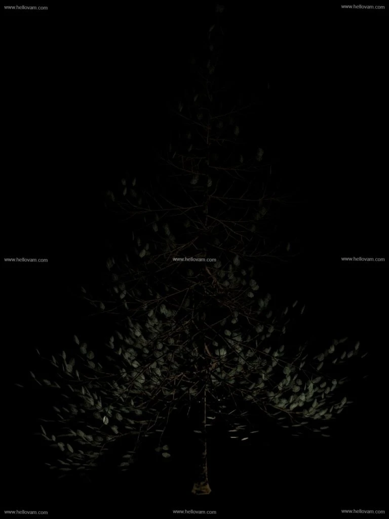 图片[3]-动态树木animated trees-Hellovam资源网
