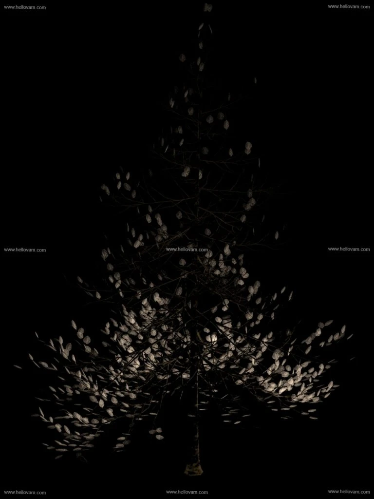 图片[2]-动态树木animated trees-Hellovam资源网